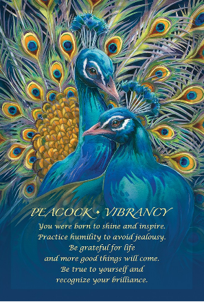 Spirit Of The Animals Oracle Cards & Guidebook