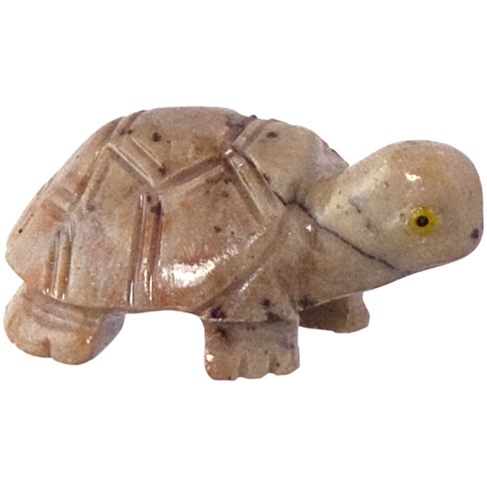 Turtle Dolomite Spirit Animal