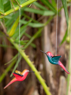 Hanging Hummingbird