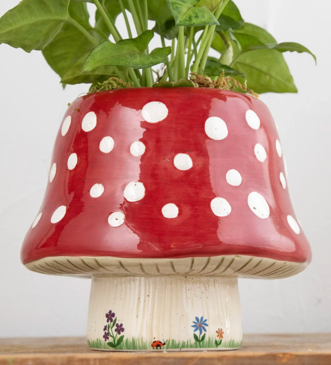 So Cute Ceramic Planter - Mushroom