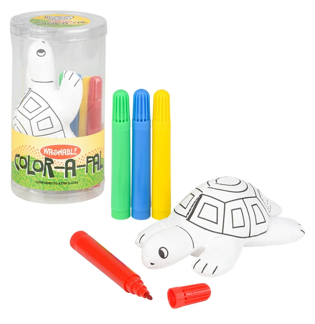 Turtle Color-A-Pal Marker and Plush Canvas