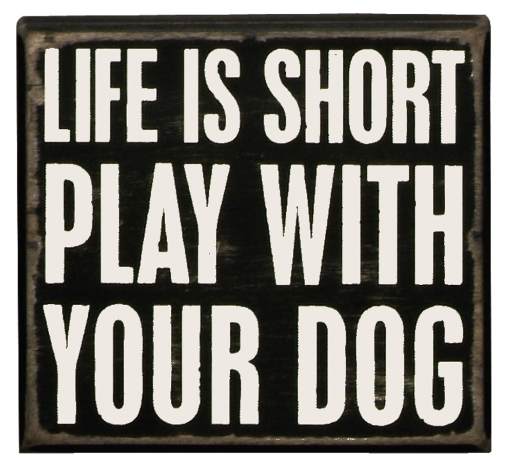 Life Is Short Play With Your Dog Box Sign