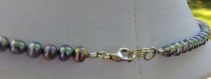 Lavender Freshwater Pearl Necklace with Freeform Silver Pendant