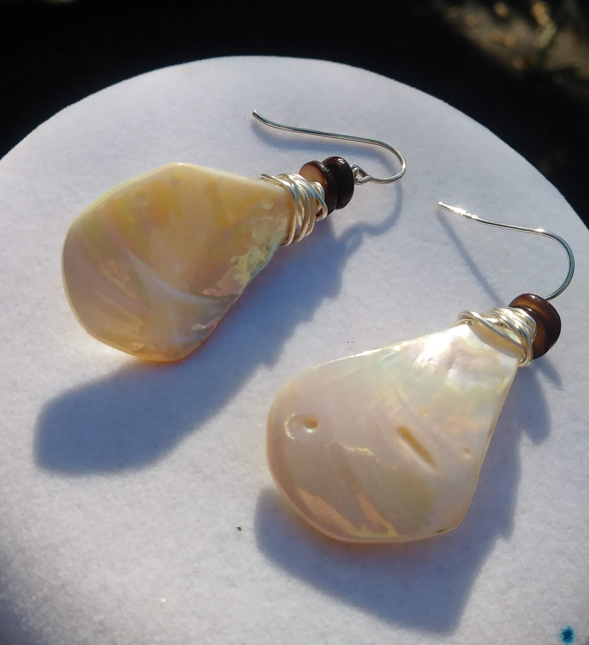 Shell Earrings (Medium)