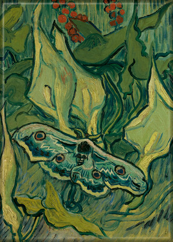 Vincent Van Gogh The Great Peacock Moth magnet