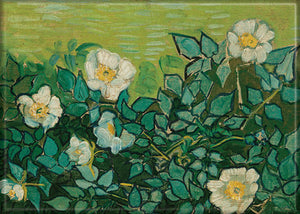 Vincent Van Gogh Wild Roses magnet