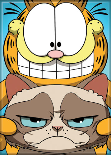 Garfield & Grumpy Cat magnet