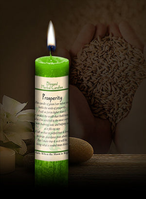 Prosperity ~ Blessed Herbal Candle