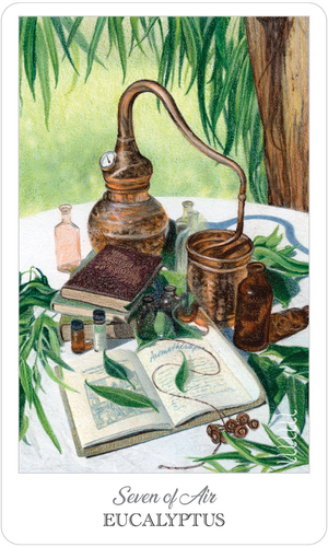 The Herbcrafter’s Tarot Card Deck