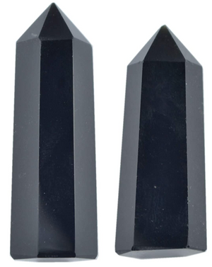 Shungite Faceted Point 1.7"-2"